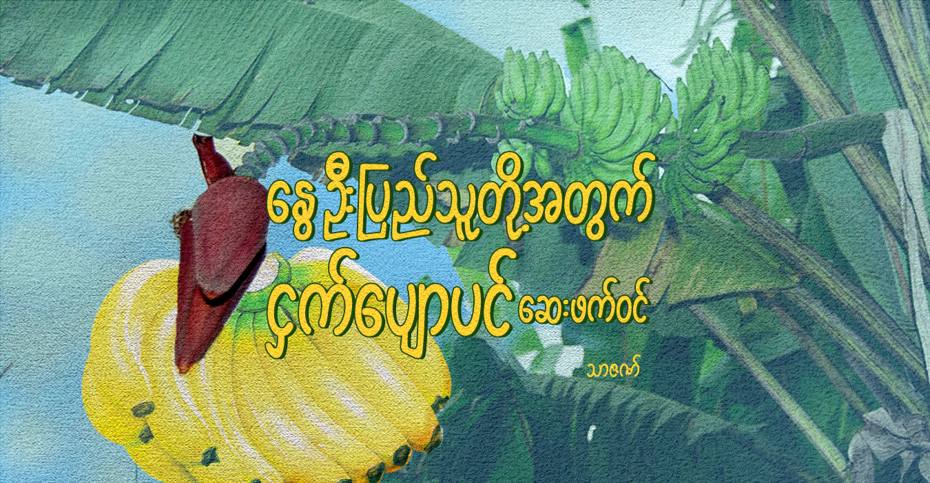 နွေဦးပြည်သူတို့အတွက် ငှက်ပျောပင် ဆေးဖက်ဝင်