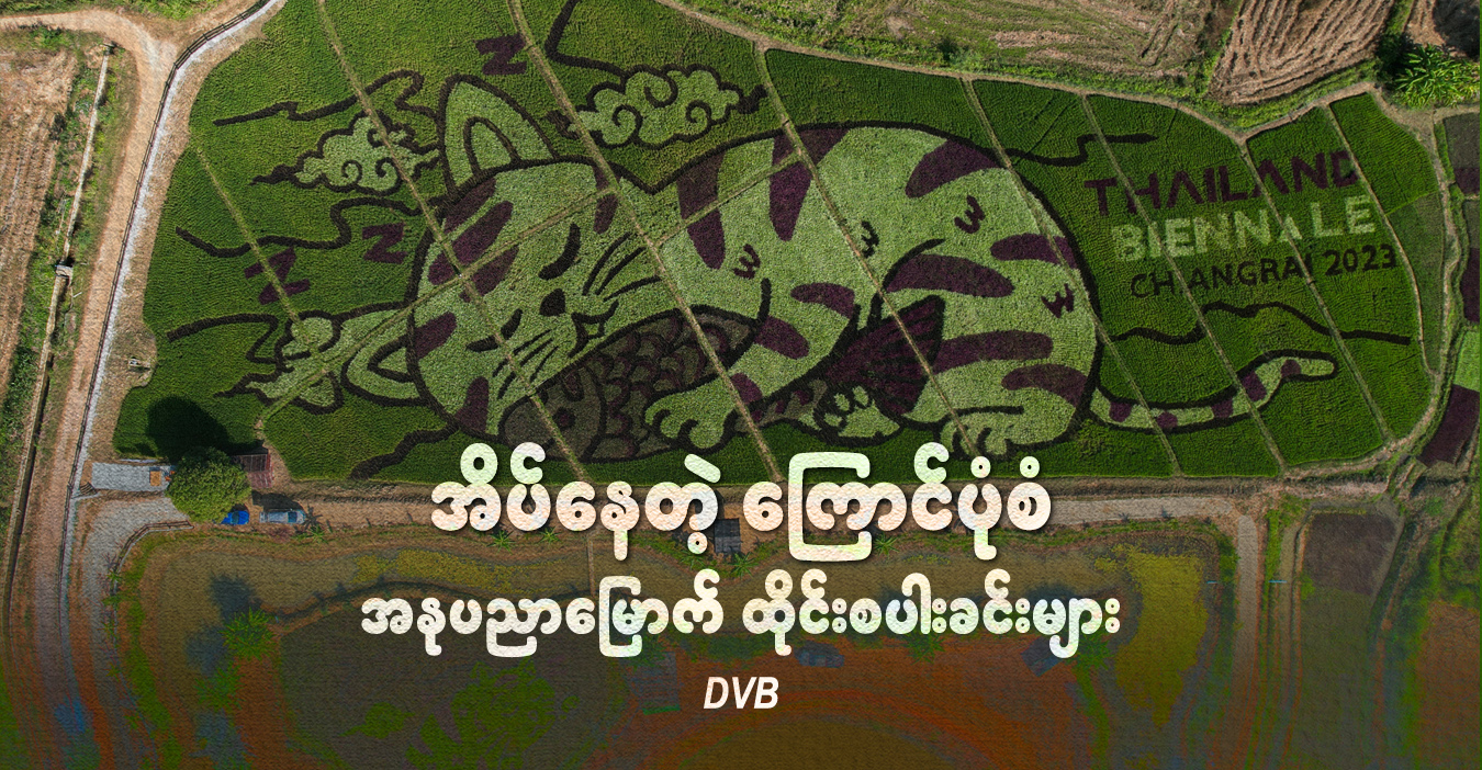 အိပ်နေတဲ့ ကြောင်ပုံစံ အနုပညာမြောက် ထိုင်းစပါးခင်းများ