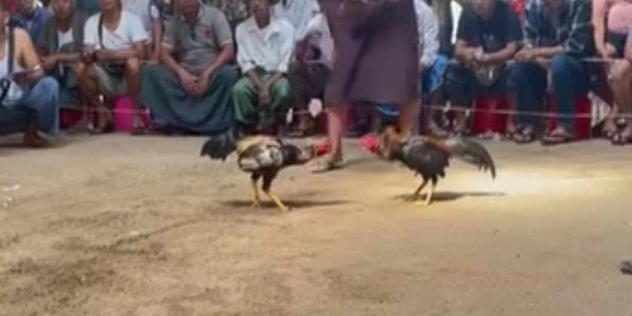 မှော်ဘီတွင် တပ်နယ်မှူး ဦးဆောင်ဖွင့်ထားသည့် ကြက်ဝိုင်းကို ဒေသခံများ တိုင်ကြားသော်လည်း ရဲက မဖမ်းရဲ