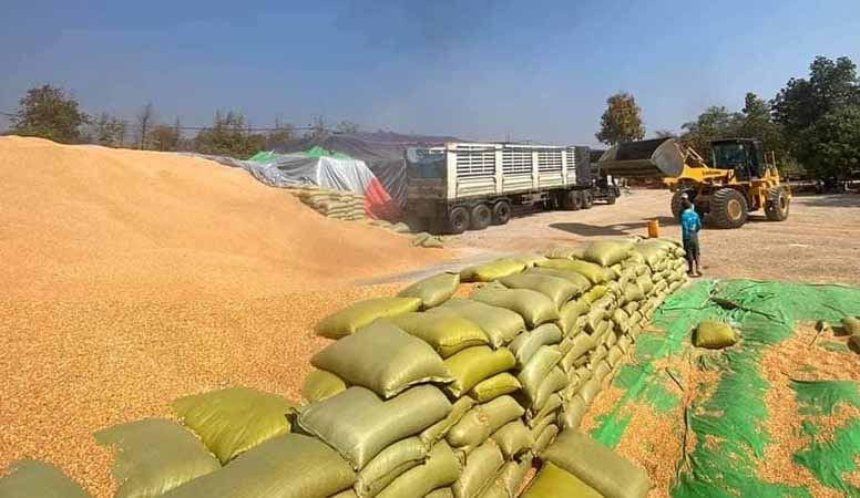 မြန်မာ့ပြောင်း စျေးကောင်းမရ၊ မူဝါဒအသစ်ကြောင့် ပြောင်းကုန်သည်များ အရှုံးပေါ်နိုင်