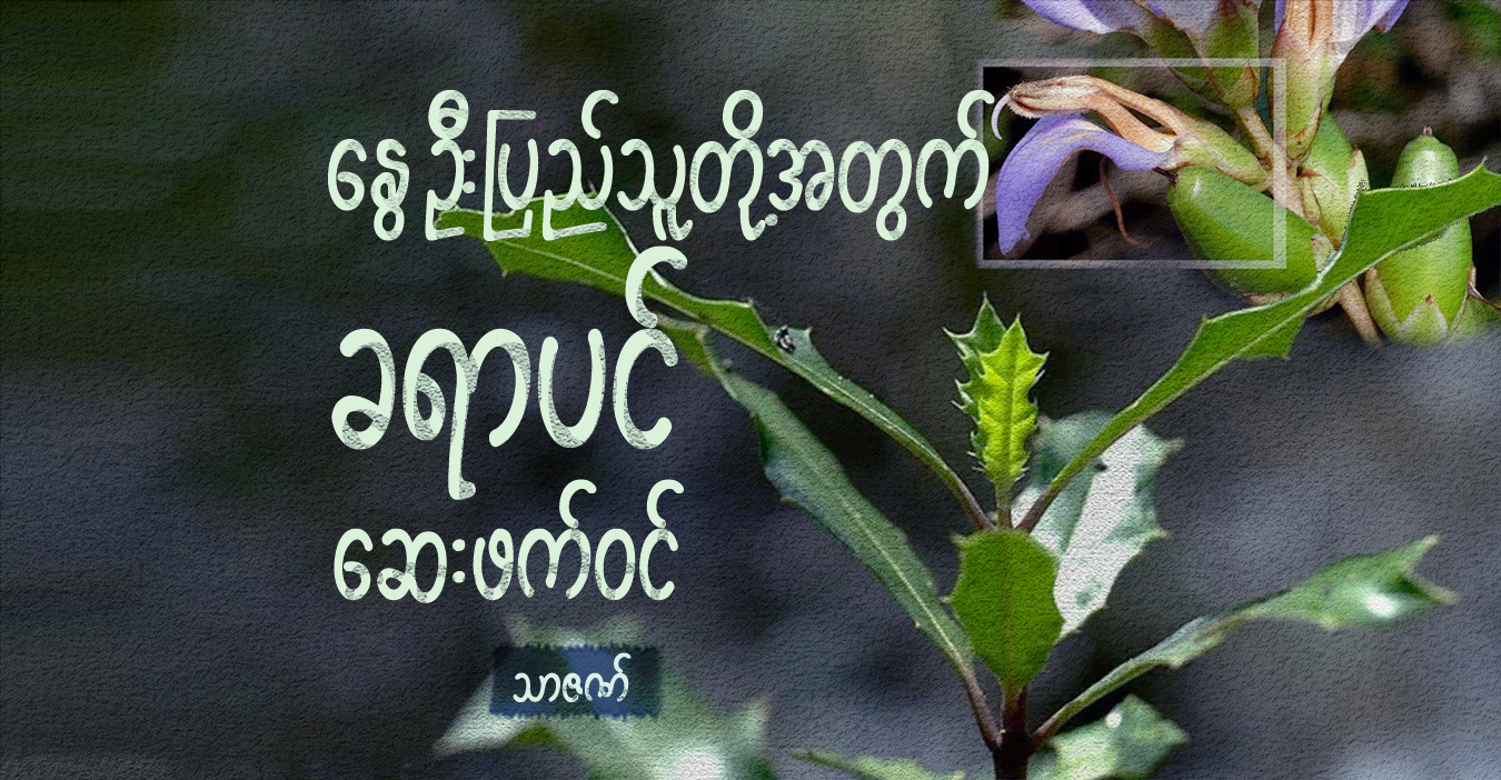 နွေဦးပြည်သူတို့အတွက် ခရာပင် ဆေးဖက်ဝင်