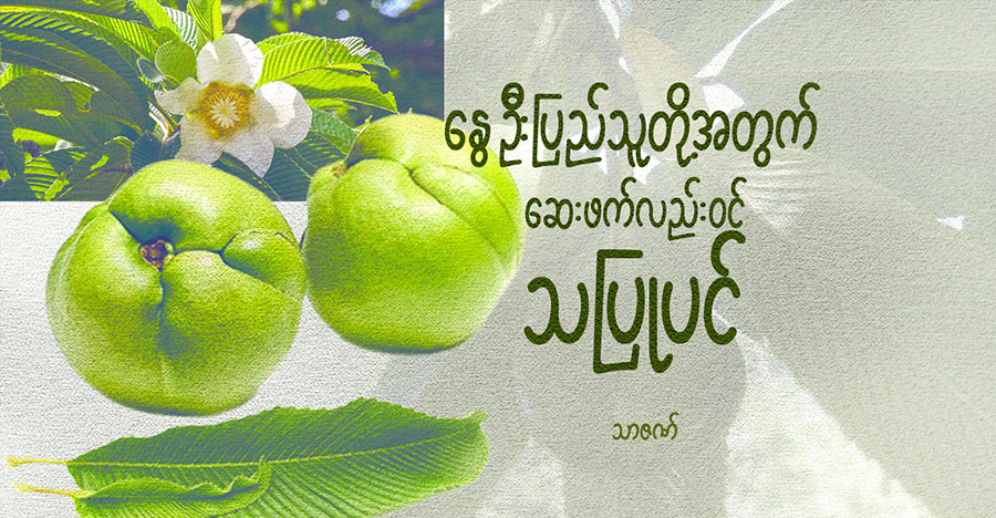 နွေဦးပြည်သူတို့အတွက် ဆေးဖက်လည်းဝင် သပြုပင်