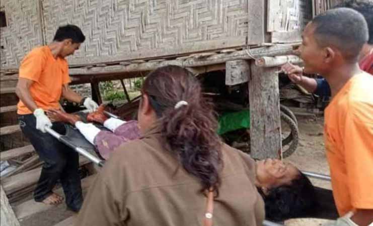 ဝိုင်းမော်တွင် ဝက်စာရှာသည့် အမျိုးသမီး ၁ ဦး မိုင်းနင်းမိပြီး သေဆုံး