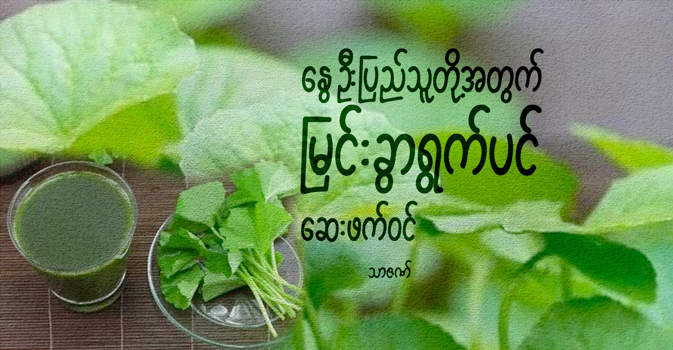 နွေဦးပြည်သူတို့အတွက် မြင်းခွာရွက်ပင် ဆေးဖက်ဝင်
