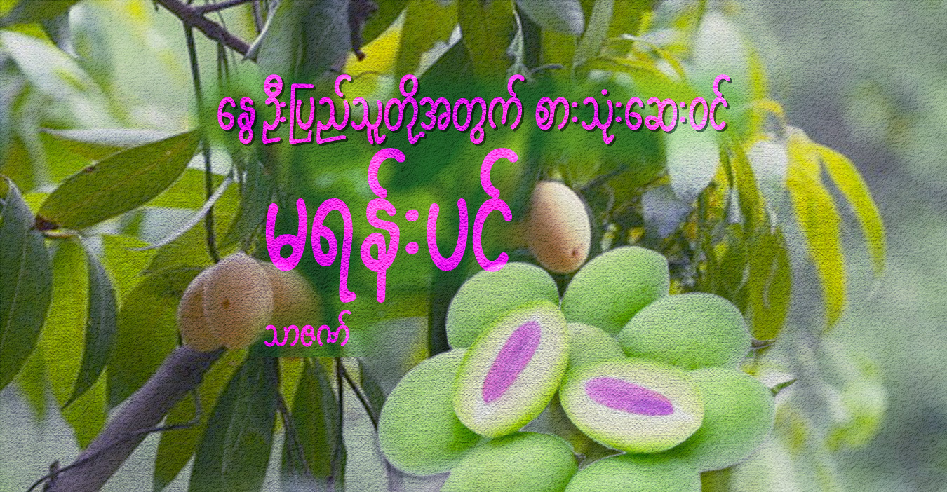 နွေဦးပြည်သူတို့အတွက် စားသုံးဆေးဝင် မရန်းပင်