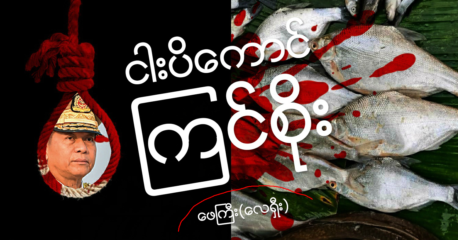 ငါးပိကောင် ကြင်စိုး (သရော်စာ)