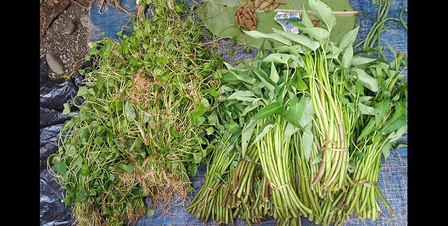 ကုန်ဈေးနှုန်း ၃ ဆတက်၊  လုပ်ခလစာ မတက်သဖြင့် အခြေခံလူတန်းစားများ ပိုမိုကျပ်တည်းလာ