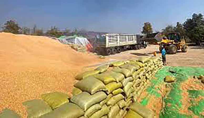 ပင်လယ်ရေကြောင်းမှတင်ပို့မှု အားကောင်းသဖြင့် ပြည်တွင်း ပြောင်းဈေးတက်