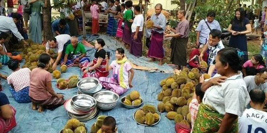 တောင်ပုလစေတီတော်တွင် ဒူးရင်းသီး စတုဒိသာပွဲတော် ကျင်းပမည်