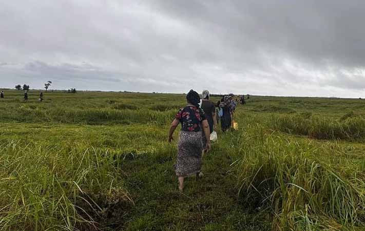 ပေါက်တောနှင့် ပုဏ္ဏားကျွန်းက ကျေးရွာအချို့ စစ်ဘေးထပ်ရှောင်ရ