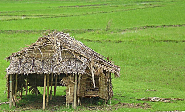 ကိုယ့္လယ္မွာ ကိုယ္ေနရမယ္ဆိုရင္ လမ္းေဘးပလက္ေဖာင္းေပၚမေရာက္ပါဘူး
