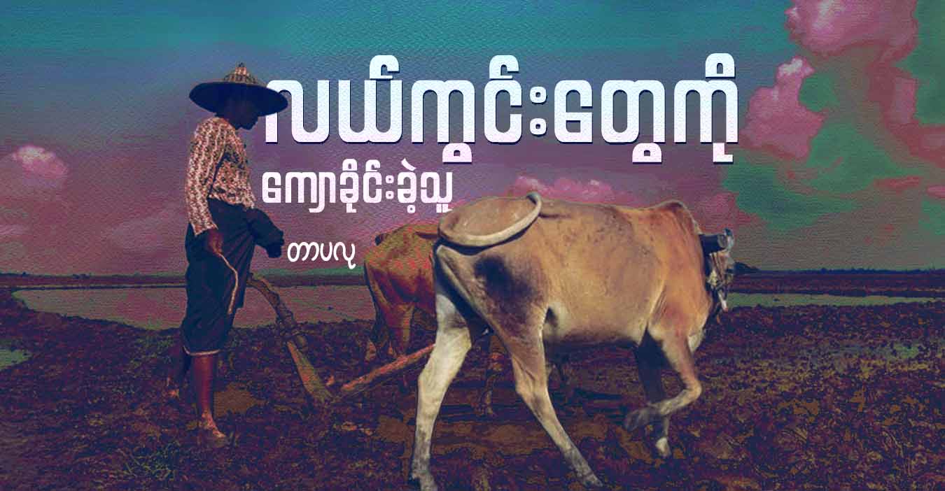 လယ်ကွင်းတွေကို ကျောခိုင်းခဲ့သူ