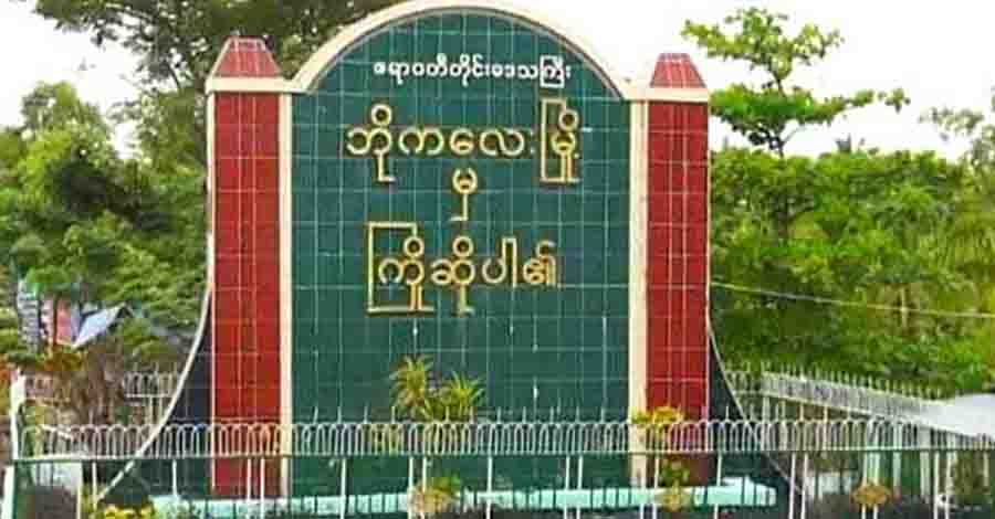ဘိုကလေးမြို့နယ် လယ်မြေအတွင်း မိကျောင်း ဖမ်းမိ