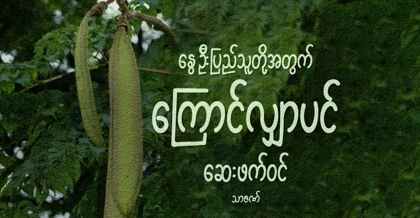 နွေဦးပြည်သူတို့အတွက် ကြောင်လျှာပင် ဆေးဖက်ဝင်