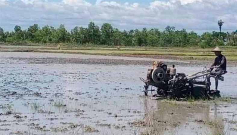 စိုက်ပျိုးရေးဆိုင်များ ရည်ညွှန်းဈေးအတိုင်းမရောင်းသဖြင့် တောင်သူများ အခက်ကြုံ 