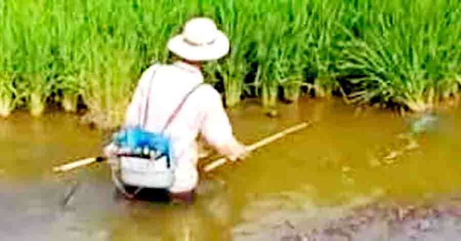 မော်ကျွန်းတွင် အုပ်ချုပ်ရေးမှူးများက ဆက်ကြေးတောင်း တရားမဝင် ရှော့ခ်တိုက်ငါးဖမ်းခွင့်ပြု
