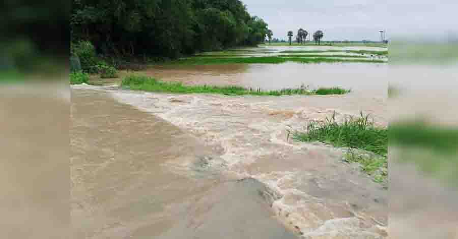 အင်္ဂပူတွင် မိုးစပါးဧက ၂,၀၀၀ ခန့် ရေနစ်မြုပ်