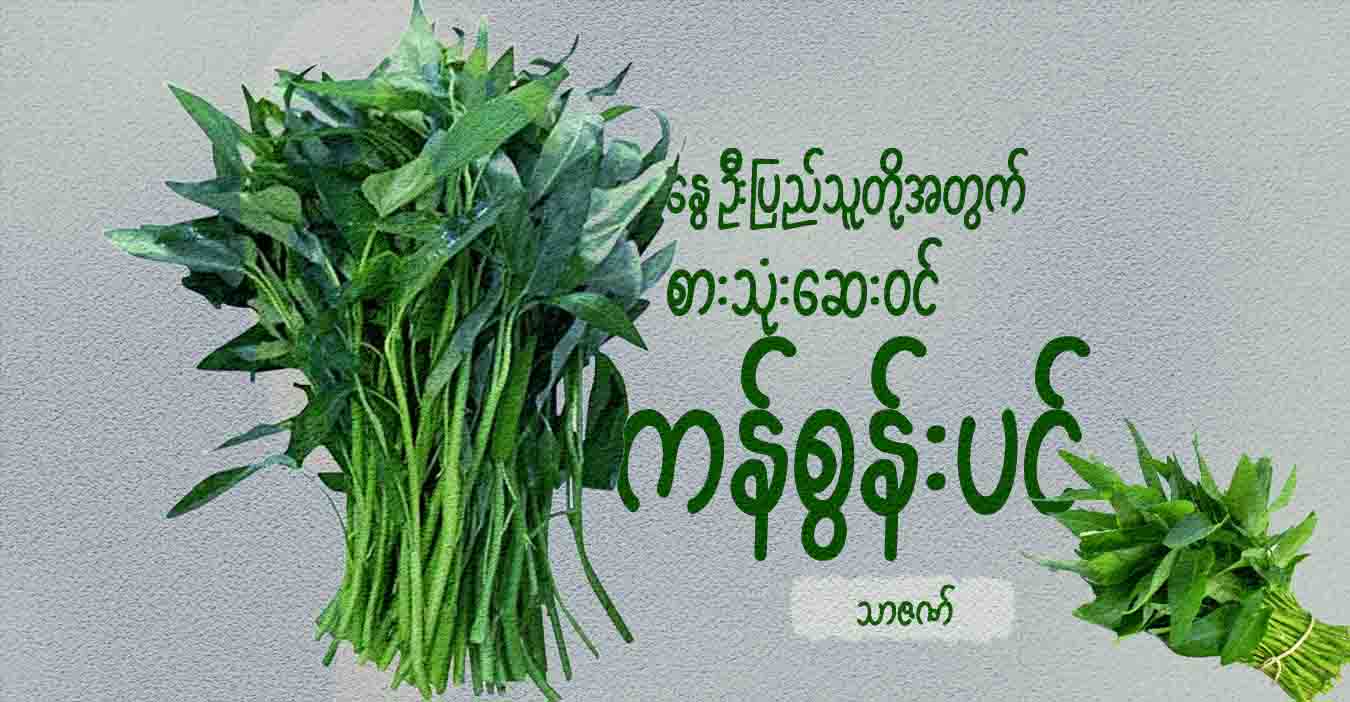 နွေဦးပြည်သူတို့အတွက် စားသုံးဆေးဝင် ကန်စွန်းပင်