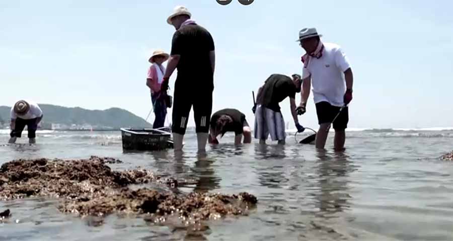 ပင်လယ်သဘာဝ ပျက်စီးမှု တိုက်ဖျက်ရေး ကူညီရန် ဂျပန်သံပခြုပ်များကို ဂေါ်ဖီထုပ်ကျွေး