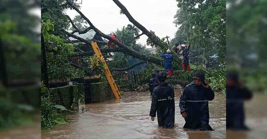 ဘီးလင်းတွင် မိုးသည်းထန်ပြီး ကုက္ကိုလ်ပင်လဲကျသဖြင့် နေအိမ် ၃ လုံးပျက်စီး
