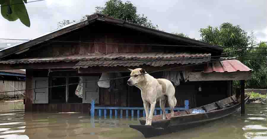 ဘားအံတွင် ပြည်သူ ၁၂,၀၀၀ ကျော် ရေဘေးသင့်၊ ကယ်ဆယ်ရေးစခန်း ၁၂ ခုဖွင့်လှစ် 