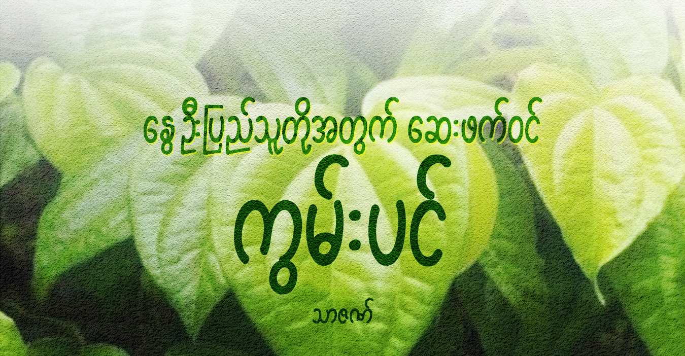 နွေဦးပြည်သူတို့အတွက် ဆေးဖက်ဝင် ကွမ်းပင်
