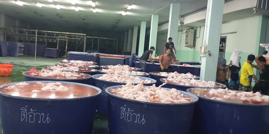 ထိုင်းကြက်သားစက်ရုံတွင် အလုပ်သမားများ သေနတ်ဖြင့် ခြိမ်းခြောက်ခံရ