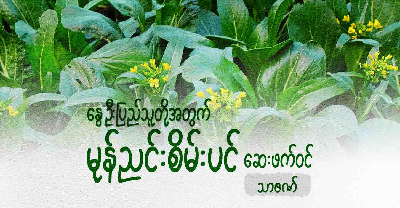 နွေဦးပြည်သူတို့အတွက် မုန်ညင်းစိမ်းပင် ဆေးဖက်ဝင် 