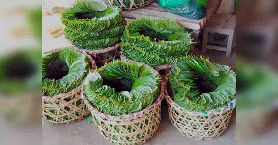 ဧရာဝတီတိုင်းတွင် ကွမ်းရွက် ၁ ပိဿာ ကျပ် ၃၅,၀၀၀ အထိ ဈေးမြင့်တက်