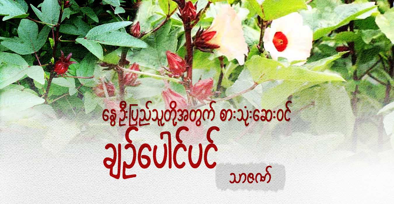 နွေဦးပြည်သူတို့အတွက် စားသုံးဆေးဝင် ချဥ်ပေါင်ပင်