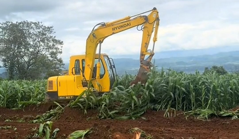 ဆီဆိုင်နှင့်ပင်လောင်းတွင် တောင်သူများစိုက်ထားသည့် ပြောင်းဧက ၁၀၀၀ ကျော်ကို PNO က ပြန်ဖျက်ခိုင်း