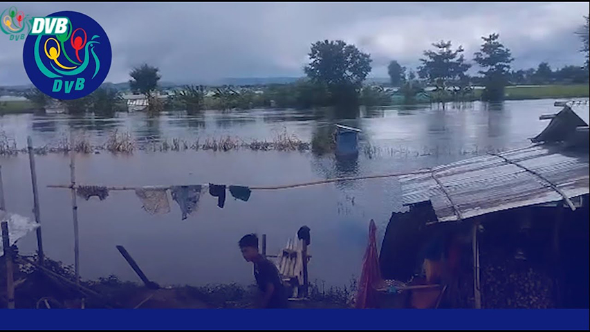 မိုးဗြဲတွင် ရေမကျသေးသဖြင့်  စစ်ရှောင်ပြည်သူများ အကူညီလိုအပ်