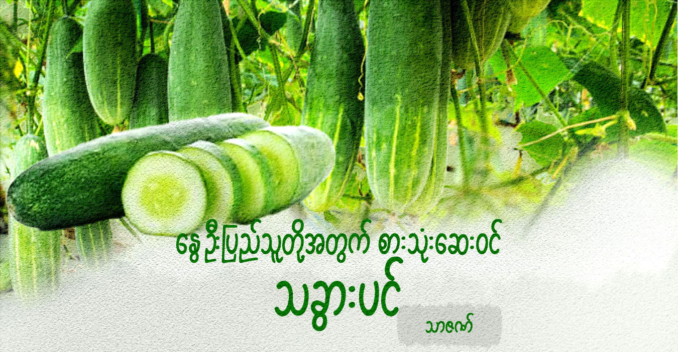 နွေဦးပြည်သူတို့အတွက် စားသုံးဆေးဝင် သခွားပင်