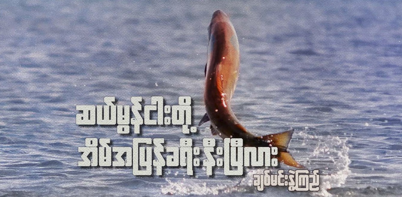 ဆယ်လမွန်ငါးတို့ အိမ်အပြန်ခရီး နီးပြီလား