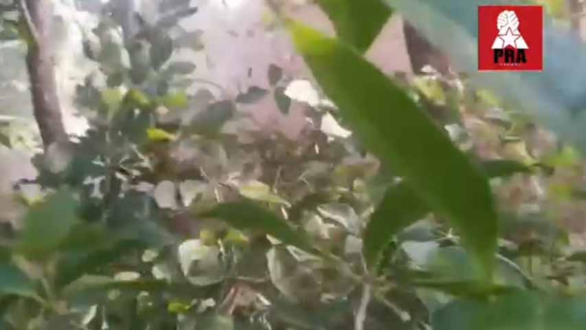 ငဖဲမြို့နယ်၌  စစ်ကောင်စီတပ် တိုက်ခိုက်ခံရပြီး ဗိုလ်ကြီး အပါအဝင် ၁၅ ဦးခန့်သေဆုံး  