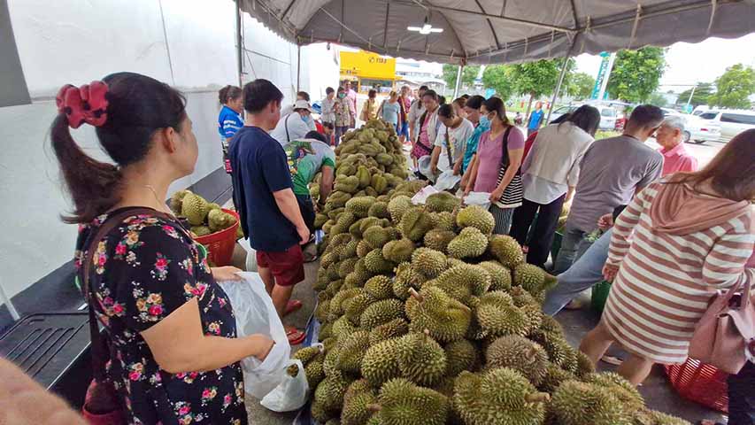 မဲဆောက် ဒူးရင်းသီးဈေးပွဲတော် (ဓာတ်ပုံ)