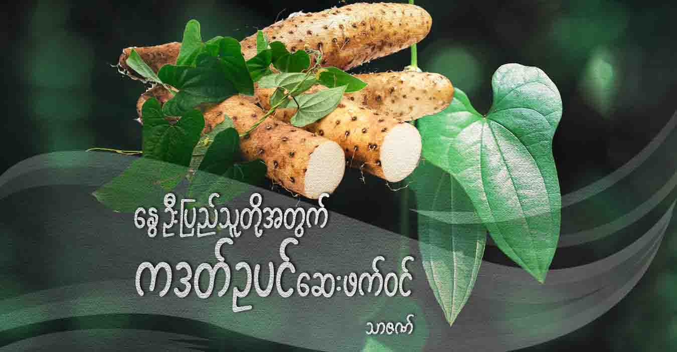 နွေဦးပြည်သူတို့အတွက် ကဒတ်ဥပင် ဆေးဖက်ဝင်