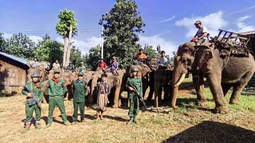 စဥ့်ကူးနှင့် သပိတ်ကျင်းရှိ ဆင် ၁၃၈ ကောင်၊ ဆင်ထိန်းနှင့် မိသားစုဝင်များကို PLA စောင့်ရှောက်