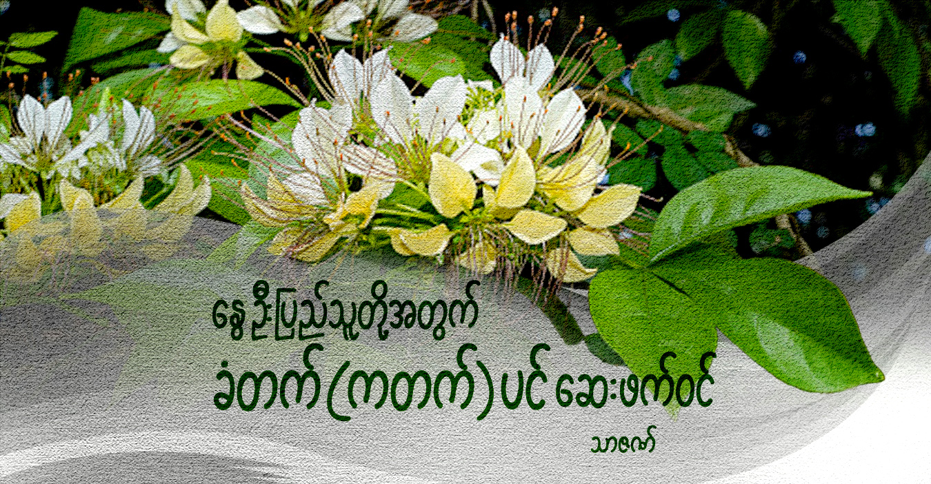 နွေဦးပြည်သူတို့အတွက် ခံတက်(ကတက်)ပင် ဆေးဖက်ဝင်