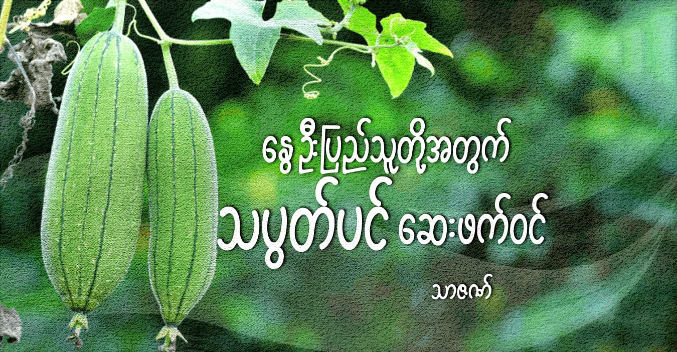 နွေဦးပြည်သူတို့အတွက် သပွတ်ပင် ဆေးဖက်ဝင်