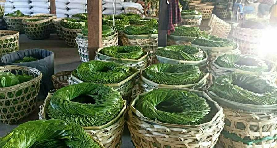 ဧရာဝတီတိုင်းတွင် ကွမ်းရွက်တပိဿာ ကျပ် ၃၀,၀၀၀ အထိ မြင့်တက်