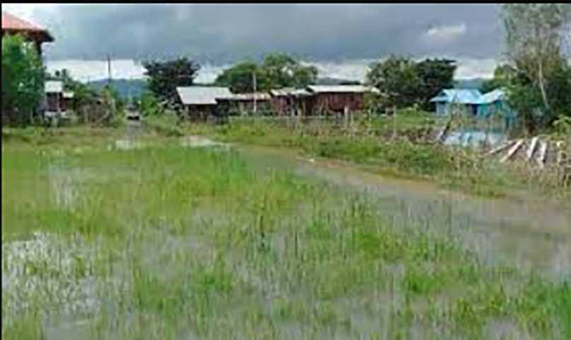 ရှမ်း-ကရင်နီ နယ်စပ်တွင် စပါးခင်းနှင့် စိုက်ပျိုးခြံဧကပေါင်း သောင်းချီ ရေမြုပ်ပျက်စီး 
