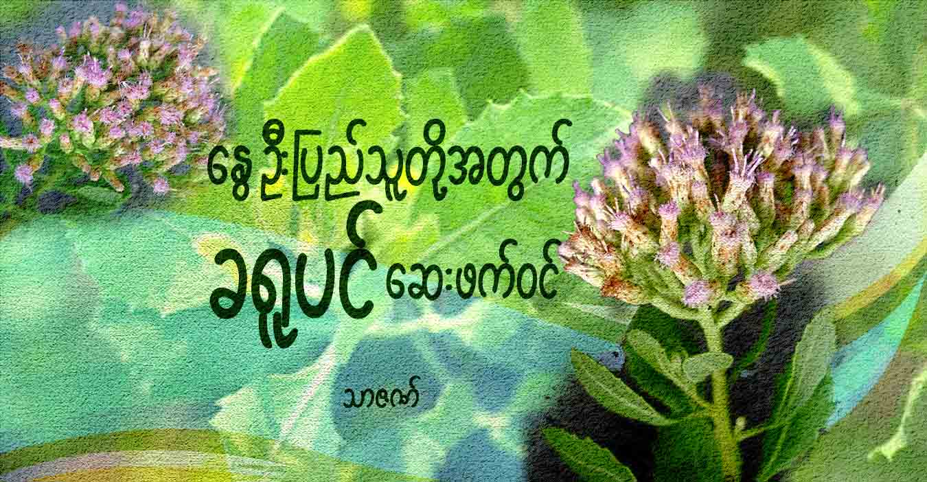 နွေဦးပြည်သူတို့အတွက် ခရူပင် ဆေးဖက်ဝင်