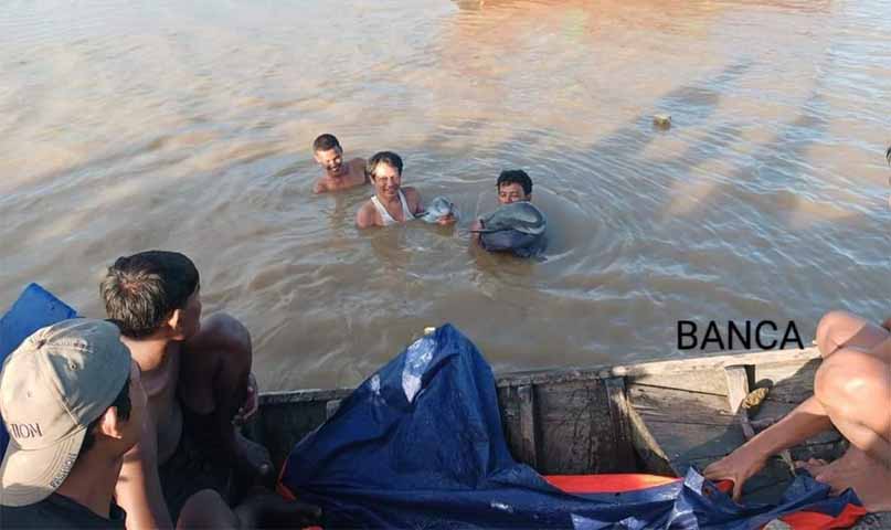 ဘီးလင်းတွင် သောင်တင်နေသည့်  ဧရာဝတီလင်းပိုင် ၂ ကောင်ကို ကယ်တင်