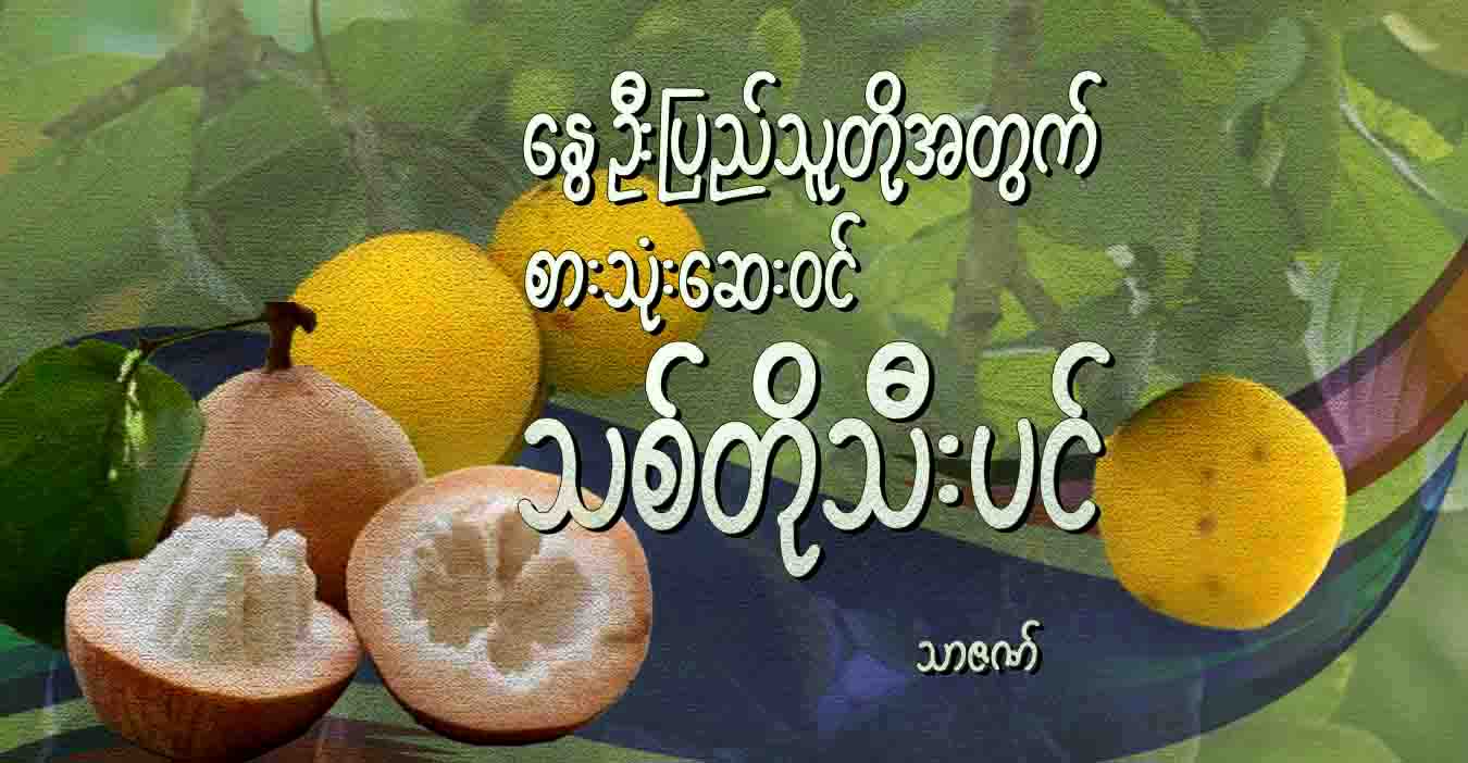 နွေဦးပြည်သူတို့အတွက် စားသုံးဆေးဝင် သစ်တိုသီးပင်