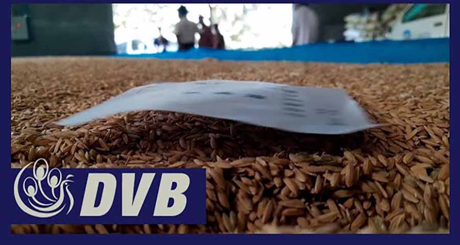 စစ်ကောင်စီသတ်မှတ်သည့် အခြေခံရည်ညွှန်းစပါးဈေး လယ်သမားများအတွက် အဆင်မပြေ 