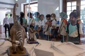 ဟောင်ကောင်တွင် ပထမဆုံးတွေ့ရှိသည့် ဒိုင်နိုဆောရုပ်ကြွင်း အများပြည်သူကို ပြသ