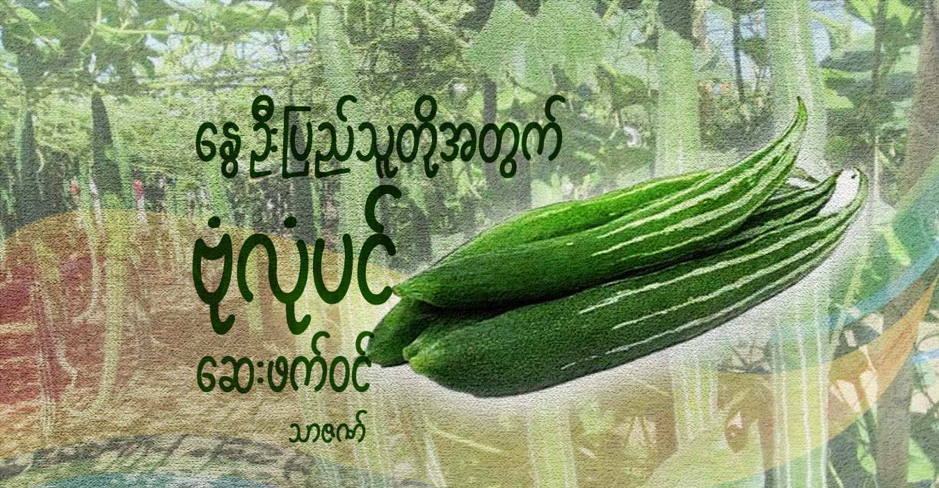 နွေဦးပြည်သူတို့အတွက် ဗုံလုံပင် ဆေးဖက်ဝင်