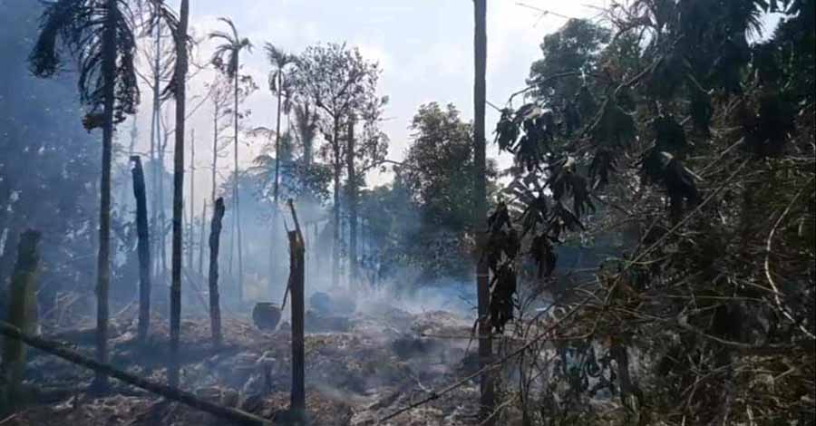 စစ်တပ် လေကြောင်းတိုက်ခိုက်မှုကြောင့် မောင်တောရှိ နေအိမ်များ မီးလောင်ပြာကျ