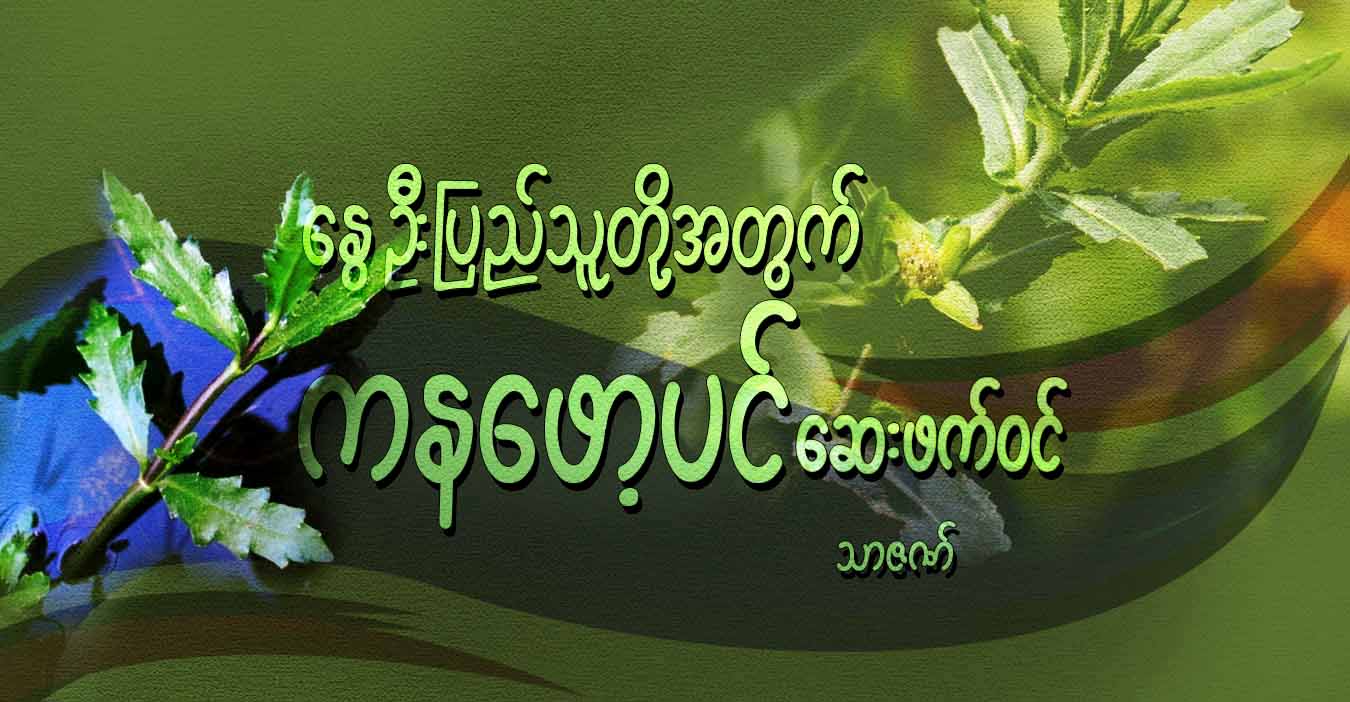 နွေဦးပြည်သူတို့အတွက် ကနဖော့ပင် ဆေးဖက်ဝင်